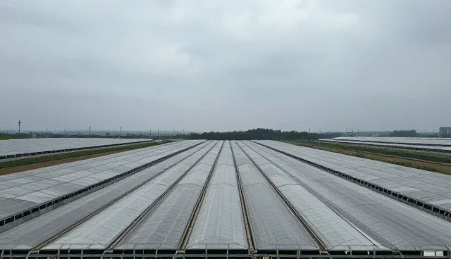 服务器选型中的系统稳定性比较与实际取舍