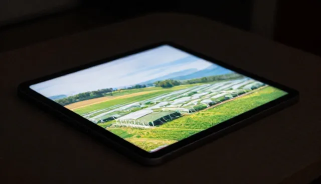 流量优化：用户隐私保护与官网建设的选型关注点
